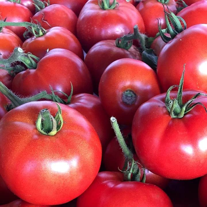 slicing tomatoes