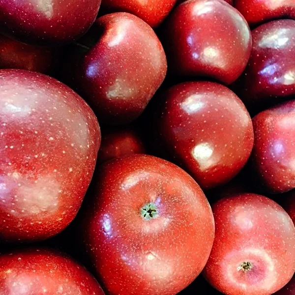 north carolina apples