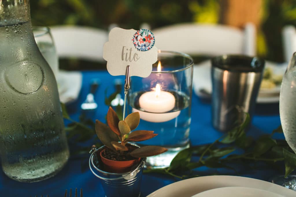 Succulent wedding favors used as place cards at a wedding.