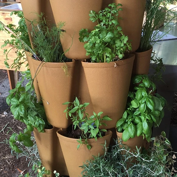 vertical tower with herbs