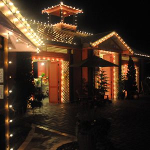 lights, wine & cheese at Rockledge Gardens
