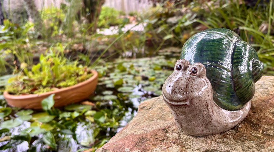 water garden