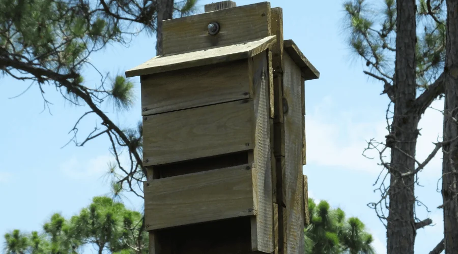 bat house