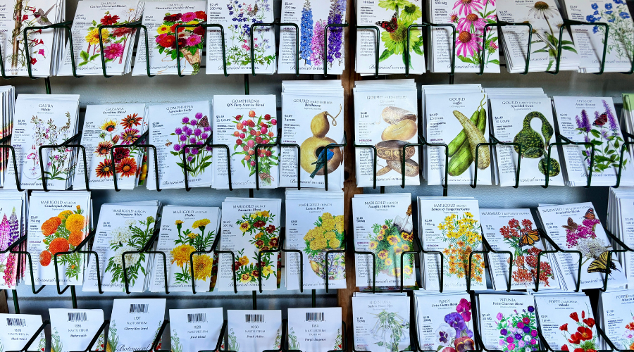 seeds inside Rockledge Gardens seed shed