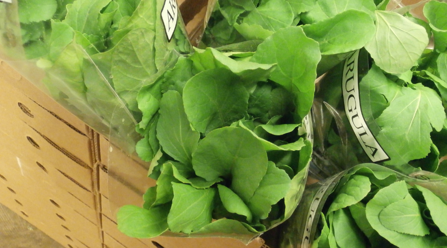 close-up of bundled arugula