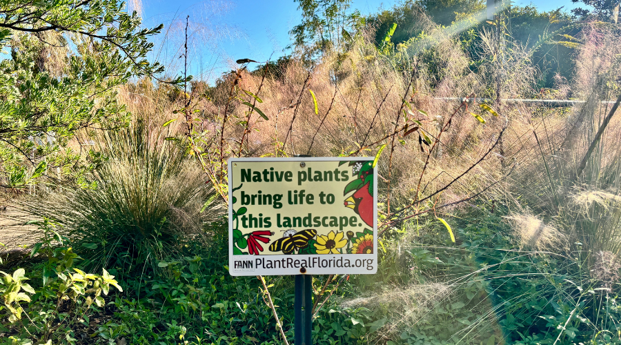 native plant landscape at Rockledge Gardens

