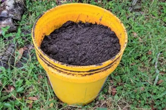 compost bucket