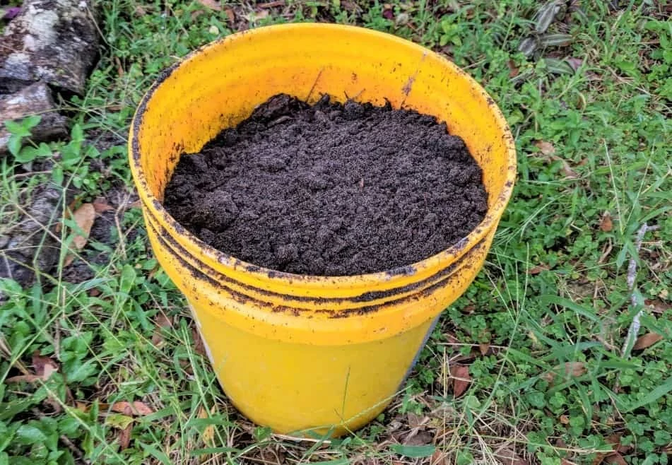 compost bucket