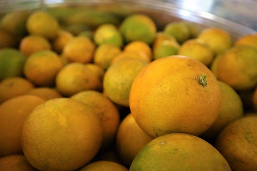 oranges growing